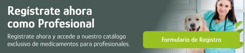 Regístrate como profesinal